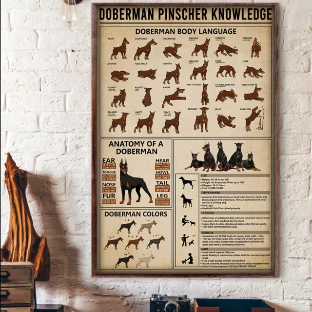 Doberman Pinscher Dog Dogs Knowledge Poster