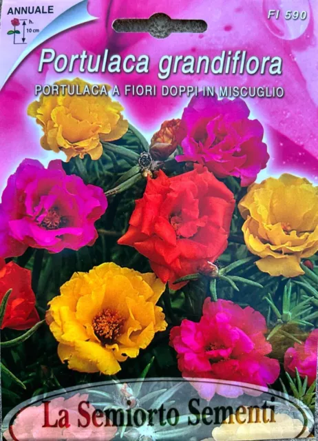 Semi-Seeds Fiori Giardino Portulaca Grandiflora Doppia Sementi 100% Italiane