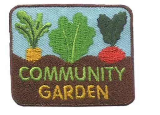 Girl Boy Cub COMMUNITY GARDEN Fun Patches Crest Badge SCOUTS GUIDE Tour Visit