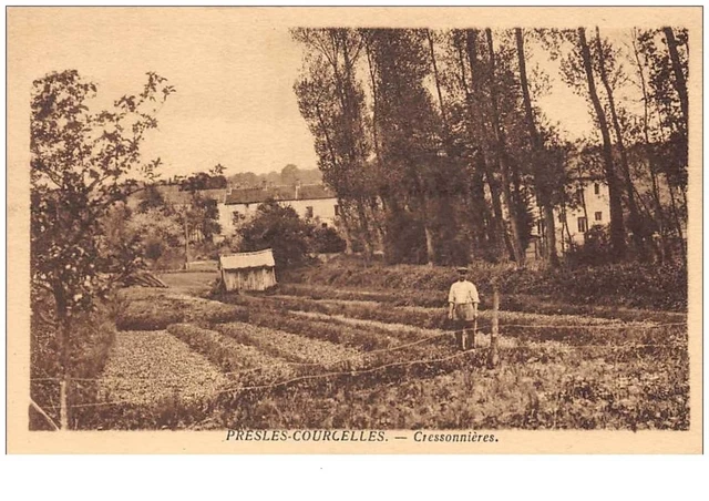 95 . n° 49297 . presles -courcelles . cressonnieres