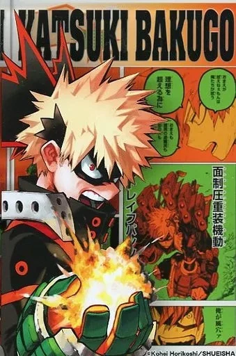 Supporto acrilico My Hero Academia VOL.1 B5 edizione limitata
