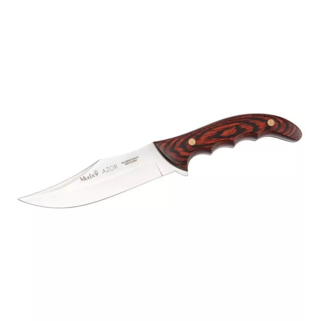 Coltello Da Caccia Muela AZOR 13 Hunting Knife