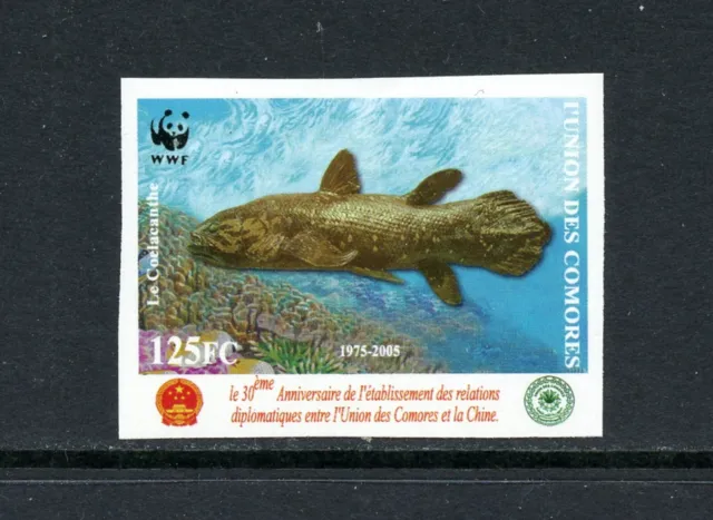 R1568   Comoros   2006   fish marine Coelcanth   IMPERF    1v.   MNH