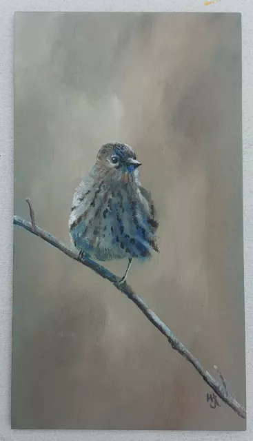 Original Oil Painting William Jamison Pine Siskin Bird Art 18 cm X 10 cm