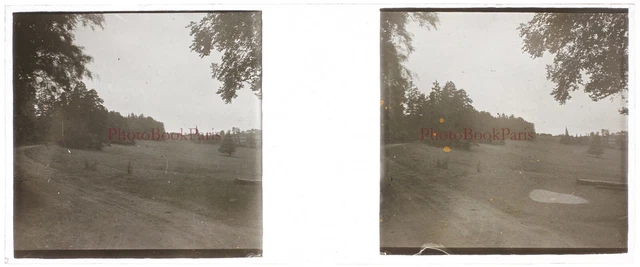 Vintage Landscape c1930 Photo Stereo Glass Plate V17T13n2 2