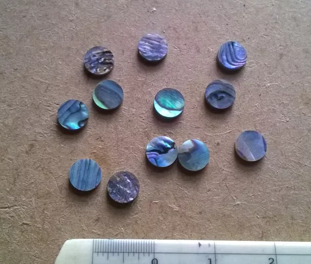 12 PAUA  NEW ZEALAND ABALONE  Luthier Dots  Inlay Fret  Side Marker - All Sizes