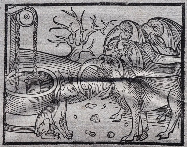 Inkunabel,Johannes De Capua,Directorium Humanae Vitae,Strassburg,Prüss, 1489...