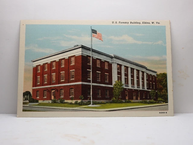 U S Forestry Bldg Elkins West Virginia Linen Postcard C61
