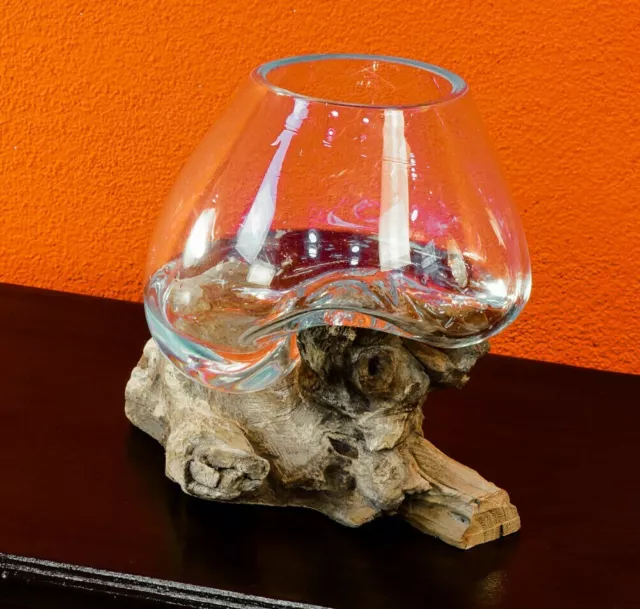 Fondu Verre Sur Bois de Racine Bali Vase Coupe en Verre Vase Teck Bois Déco