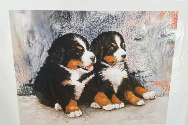 Bernese Mountain Dog Puppies  Color Ltd Ed 11x14 Print By Van Loan
