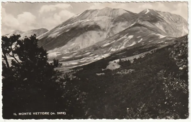 Il Monte Vettore - Ascoli Piceno - Viagg. 1954 -2395-
