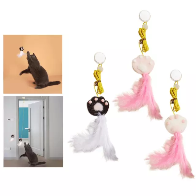 Jouet en plumes de chat suspendu Exercice d'entraînement Teaser pour chat