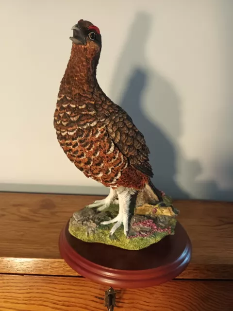 Border Fine Arts A Large 'Red Grouse' Style Two Model No A1279