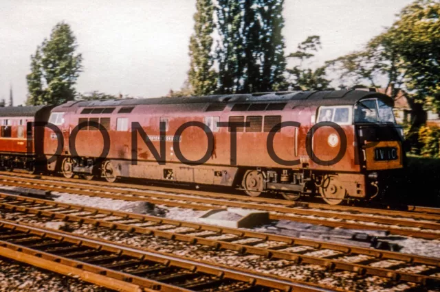 Uk Diesel Train Railway Photograph Of Class 52 Western D1065. Rm52-169