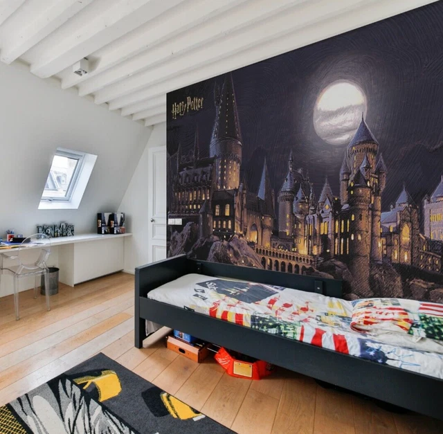 252X182CM WALLPAPER MURAL for children's bedroom photo wall Harry