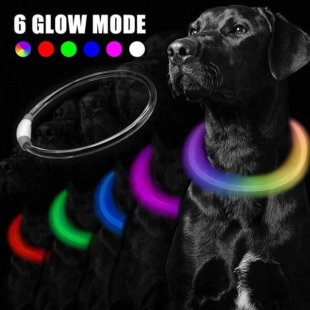 Collar de perro con iluminación LED para la oscuridad, recargable USB, tamaño cortable, recargable