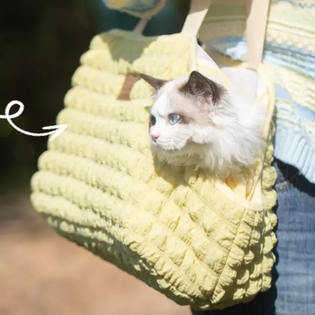 Sac De Transport Pour Chat, Sac Portable D'extérieur Pour Animaux De