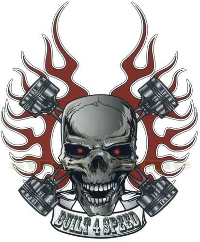 SKULL DECAL GRAPHIC MOTORCYCLE WINDSCREENS SURFBOARD CAR TRUCK RV SPIKE