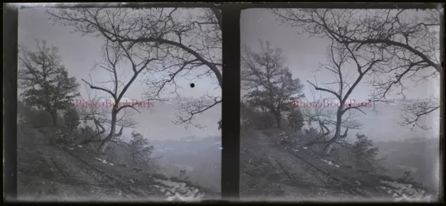 Paysage romantique c1930 France Photo NEGATIVE Plaque de verre Stereo Vintage 