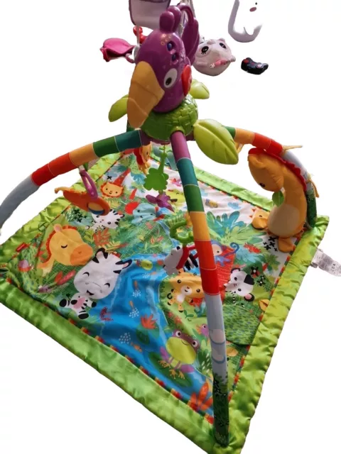 Fisher-Price rainforest music and lights deluxe baby gym and playmat