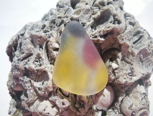 Sea Glass, Beautiful Multi Color, Yellow, Red, Blue and Purple, Great for Artist