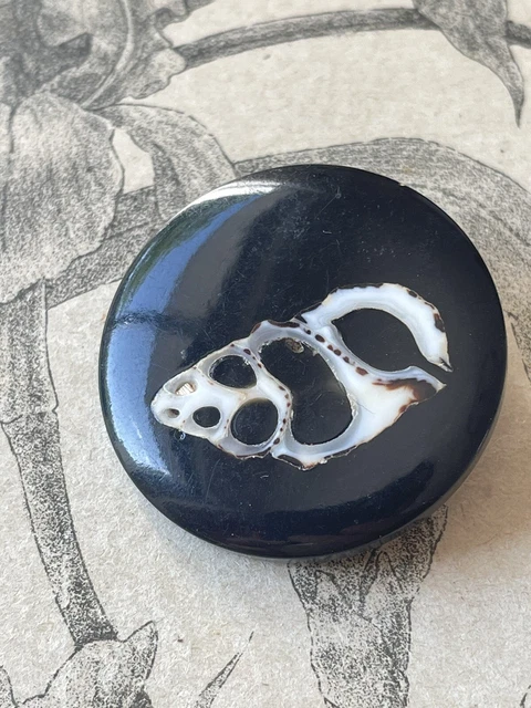Grand Bouton ancien en résine à incrustation de coquillage l French Button 3cm