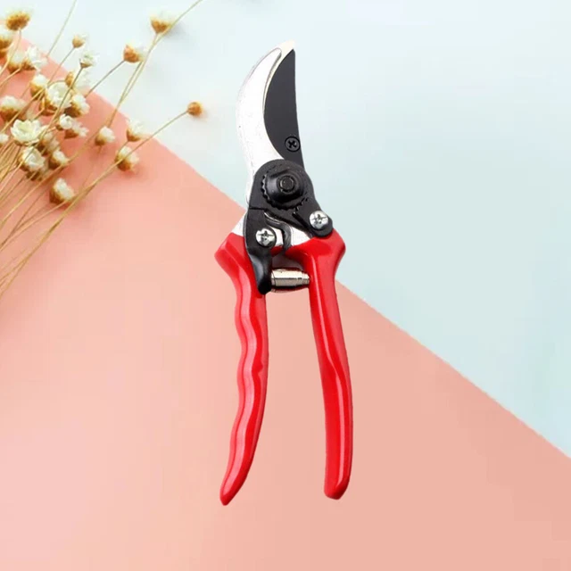 Set Giardinaggio Grenebo 9 Pezzi - Cesoie, Attrezzi In Acciaio, Borsa XL Per Uomo E Donna - Foto 7