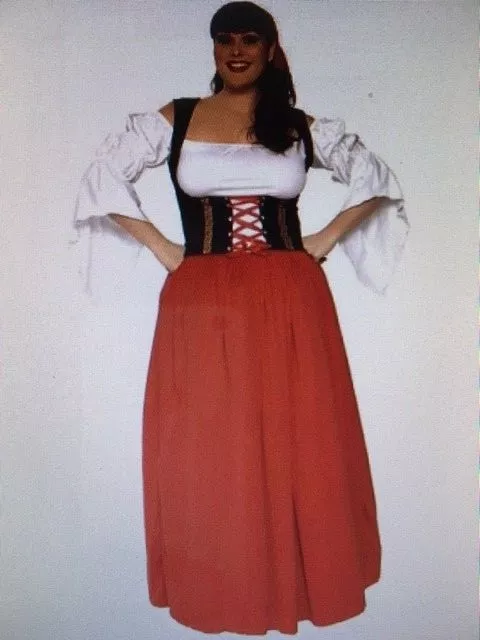 Ladies Gypsy Girl Fortune Teller Costume Womens Mystic Fancy Dress Plus  Size