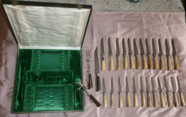 ANCIEN COFFRET 12 couteaux inPSox lames inox manches en Acrylique Très