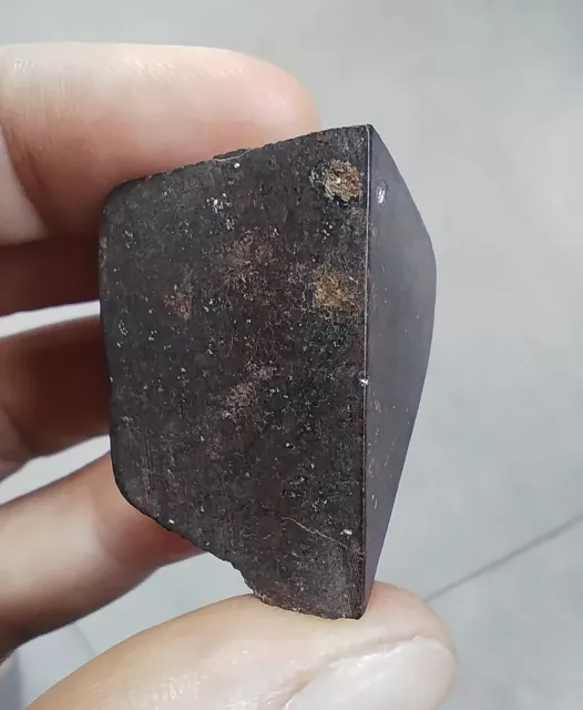 Meteorite NWA xxx chondrite 29.9g