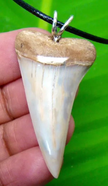 Mako Shark Tooth Necklace - 1.72 Inches - Real Fossil - Shark Teeth - No Repair