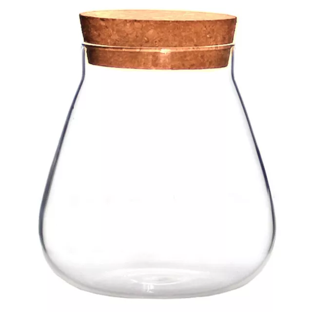 Cork Glass Bottle - Elegant Jar for Succulents and Terrariums