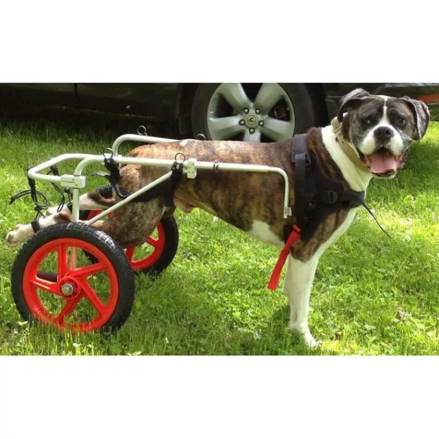 Best Friend Mobility Dog Wheelchair - Large