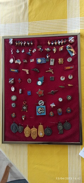 NO PINS Médaille Logo LIONS CLUB International