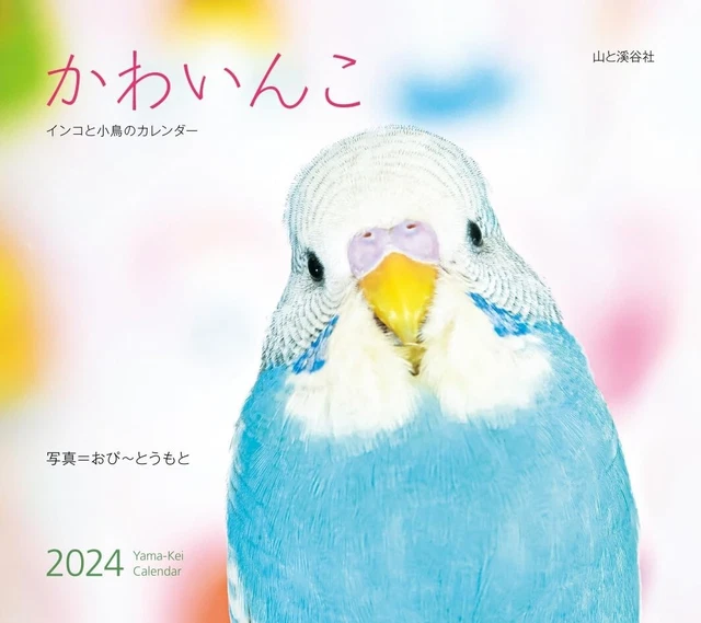 2024 WALL CALENDAR Kawainko Cute Parakeet Small Birds Bird from Japan