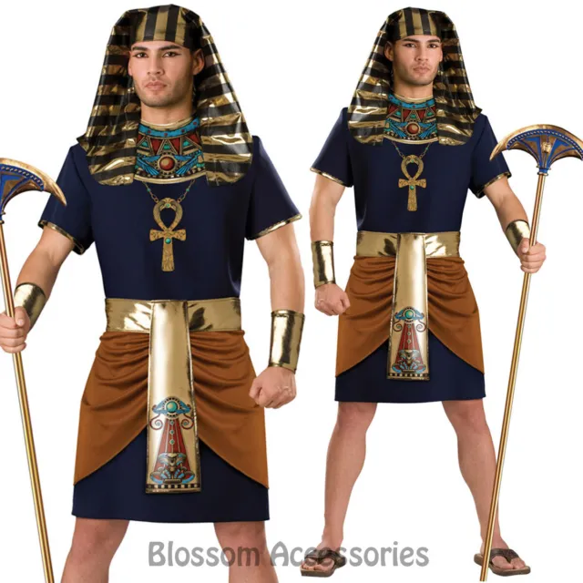 C869IC Pharaoh Mens Egyptian King Halloween Fancy Dress Adult Costume