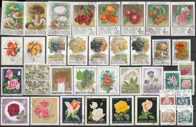 Pilze, Früchte, Rosen und Blumen meist Ungarn Mushrooms fruit Roses Flowers 2573