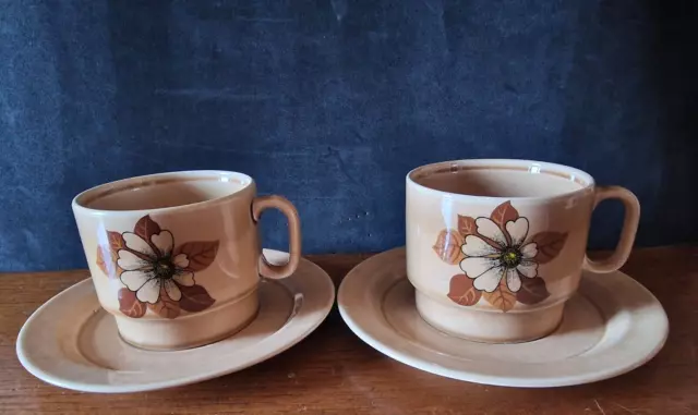 Set 2 Tazze Colazione piatti Ceramica Pagnossin Treviso Terraglia Forte vintage