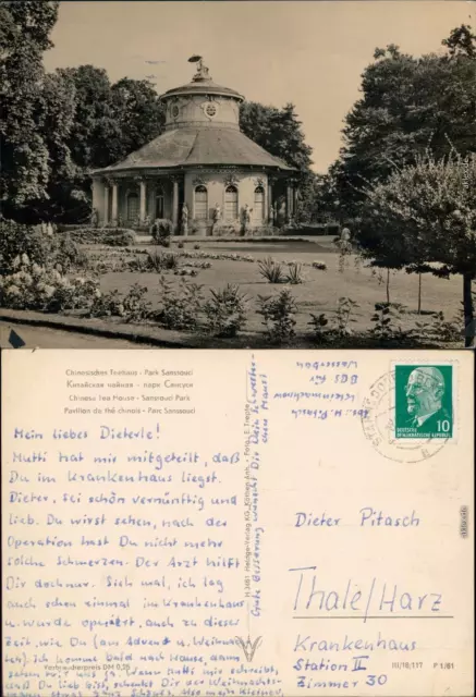 Potsdam Schloss Sanssouci - Chinesisches Teehaus im Park des Schlosses 1961