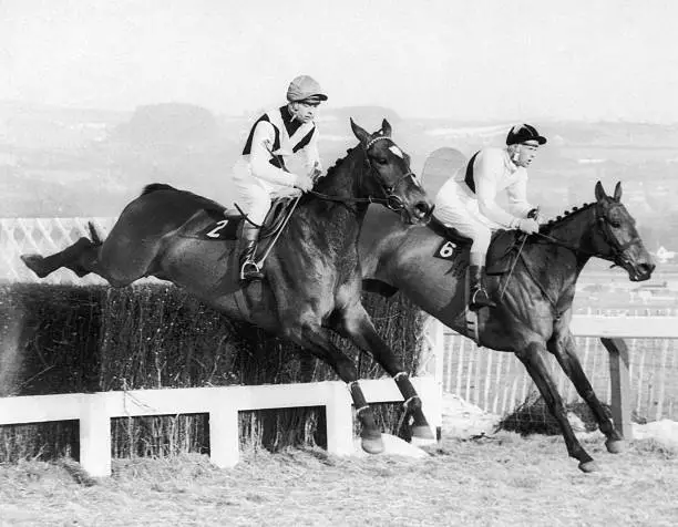 Irish Jockey Pat Taaffe On Arkle On His Way To Winning  OLD PHOTO
