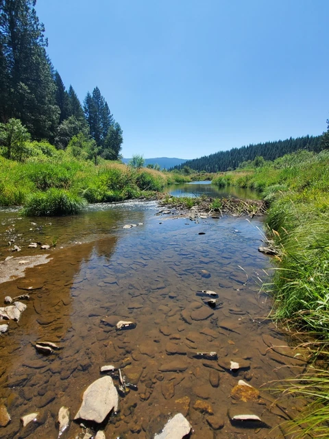 19 ACRE GOLD MINING CLAIM Spanish Creek Plumas CALIFORNIA Camp land Pan hunting