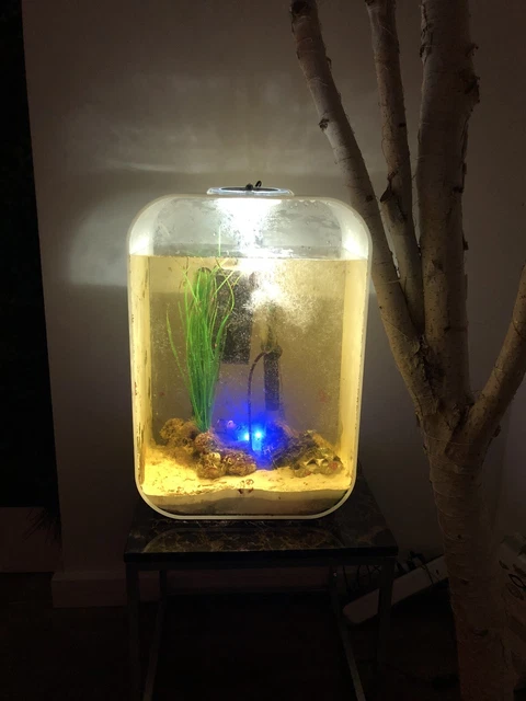 biorb life 60