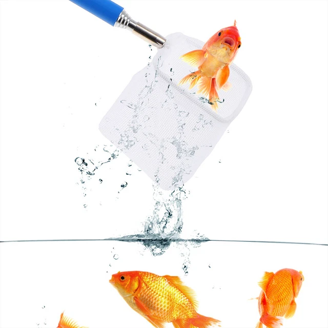 2Pcs Aquarium Fischernetz Erweiterbar Griff Garnelen Net 2