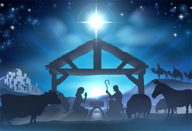Fondale Natalizio In Vinile 10x6.5 Piedi (3x2 M), Con Albero Di Natale E Luci Calde, Per Decorazioni O Foto, Pieghevole