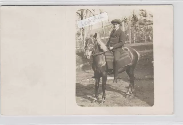 Junge Reiter  reiten  Auf Pferd  alte Fotokarte gest. Krummhübel 1919