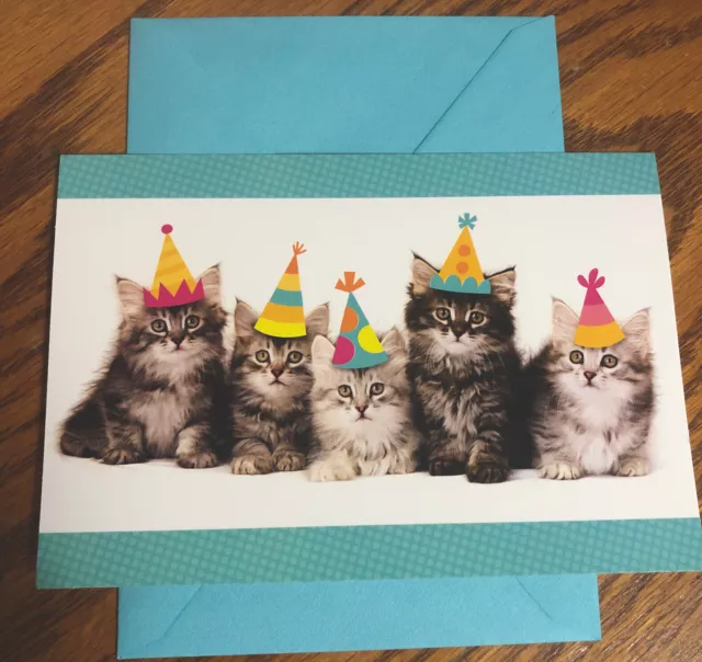 Happy Birthday From The Whole Kitten Caboodle Cute Hallmark Greeting Card