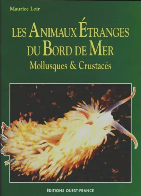 3175520 - Les animaux étranges du bord de mer - Maurice Loir