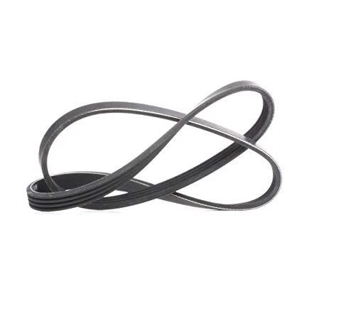 Meyle 050 004 0920 Cinghia Poly-V (C6Y)