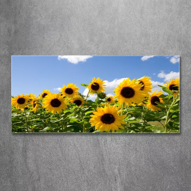 Imagen Vidrio templado Pintura De La Pared Decoración Hogar 120x60 Girasoles