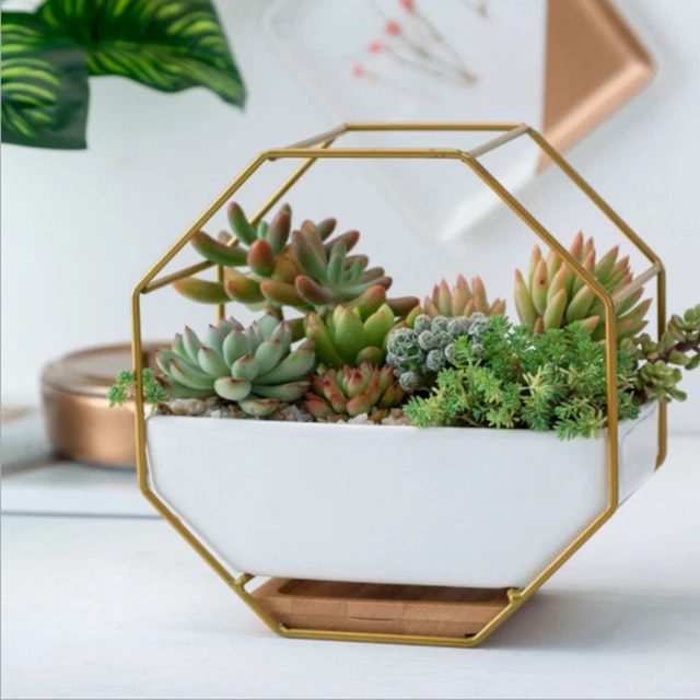 Octagonal Storage Rack Wall Hangings Wall Mounted Planters Flowerpot 4
